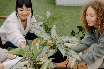 Bringing Your Dream Eco-Friendly Garden To Life